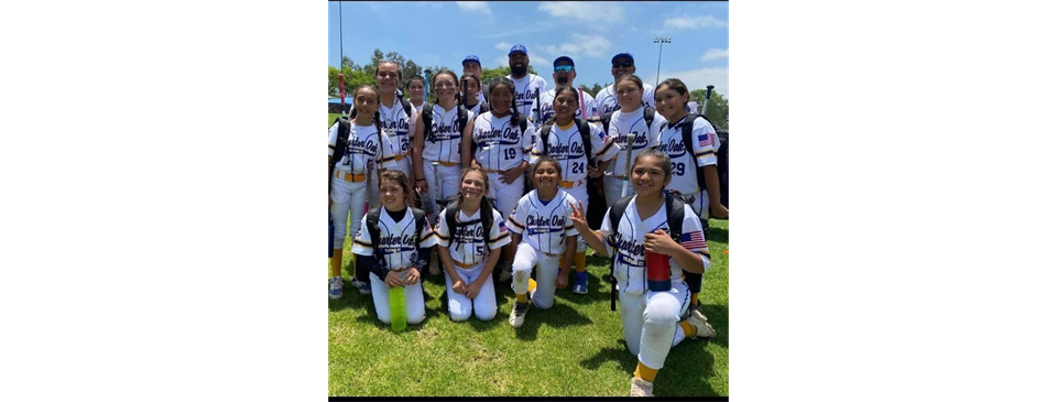 USA Softball!